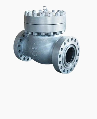 Check Valve