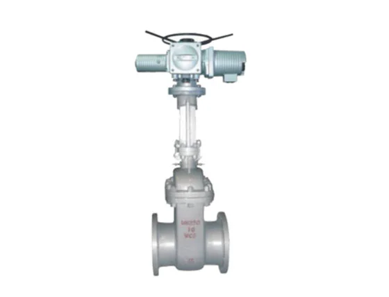 14 Gate Valve