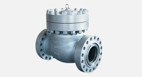 Check Valve