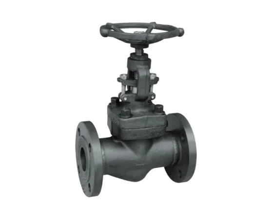 6 Globe Valve