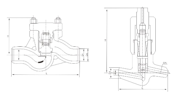 Check Valve 10 Inch