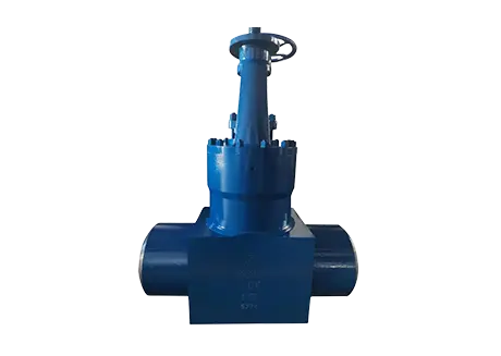 Class 3000 Industrial Valve