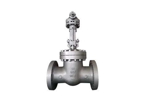 Class 900 Industrial Valve