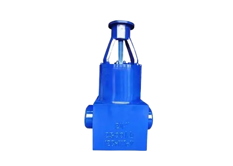 Class 2500 Industrial Valve