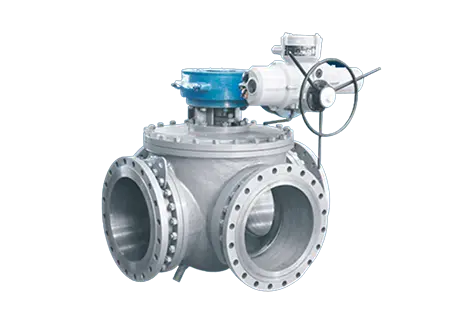 F316L Valve