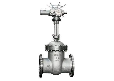 CF8M Valve